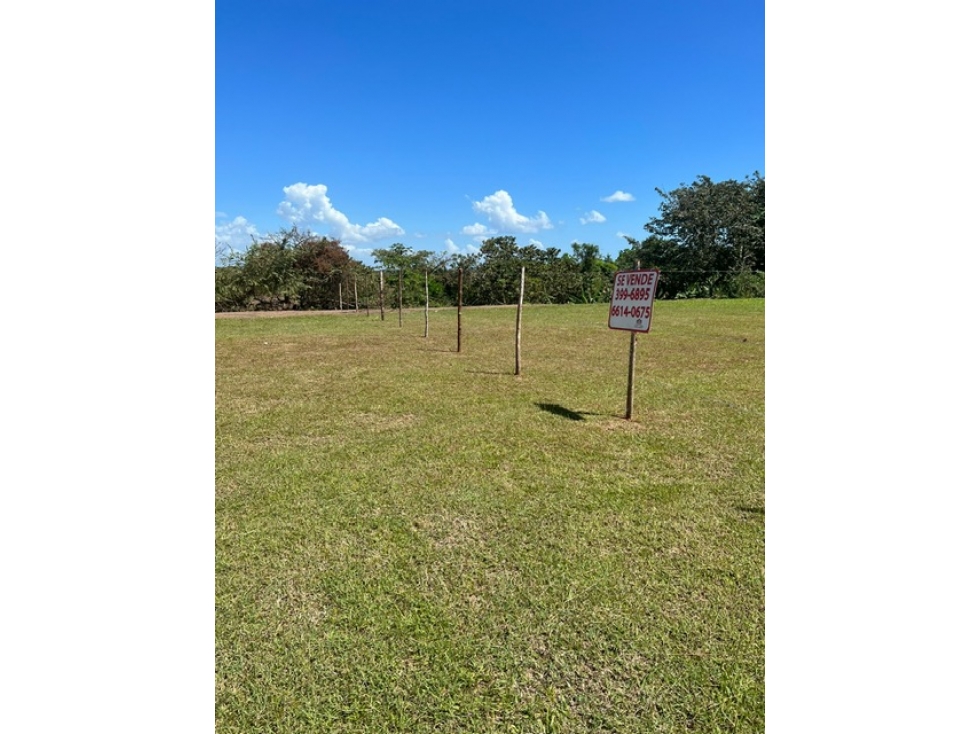 VENDO TERRENO LAS GUIAS OCCIDENTE FRENTE A SEA CLIFF COCLE - 3