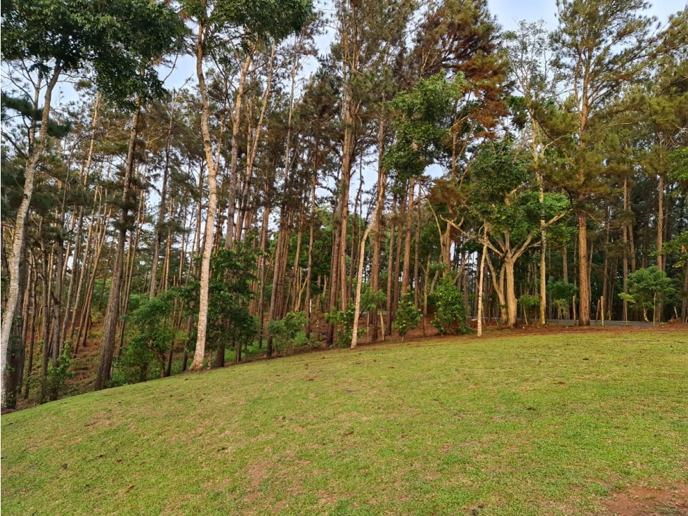 vendo o alquilo una finca en cermeño de Capira — foto 5