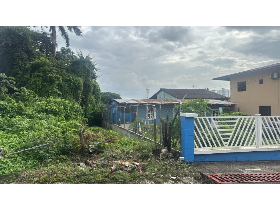 TERRENO EN VENTA- AVE. LA PULIDA, RIO ABAJO - 4