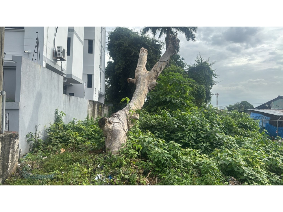 TERRENO EN VENTA- AVE. LA PULIDA, RIO ABAJO - 3