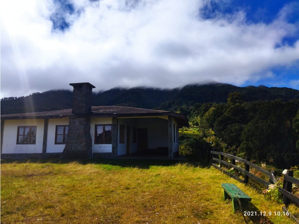 VENDO FINCA- RESPINGO CHIRIQUI - 2