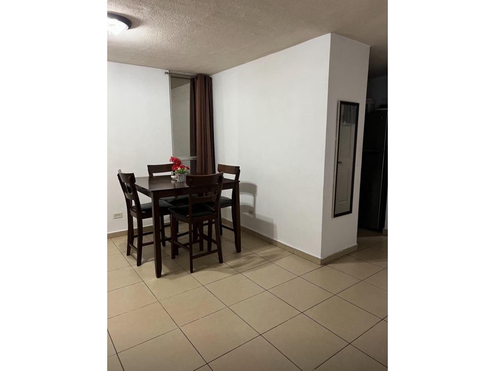 VENDO APARTAMENTO PH MYSTIC VILLAGE JUAN DIAZ — foto 5