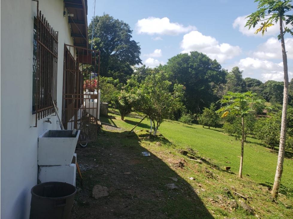 vendo o alquilo una finca en cermeño de Capira — foto 3