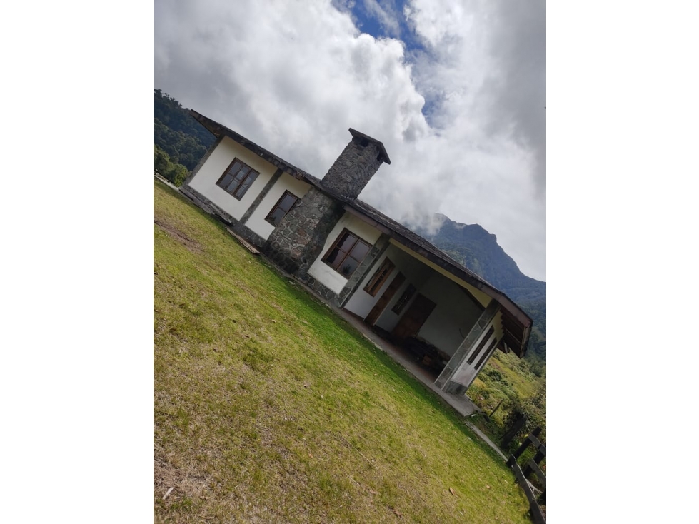 VENDO FINCA- RESPINGO CHIRIQUI - 3
