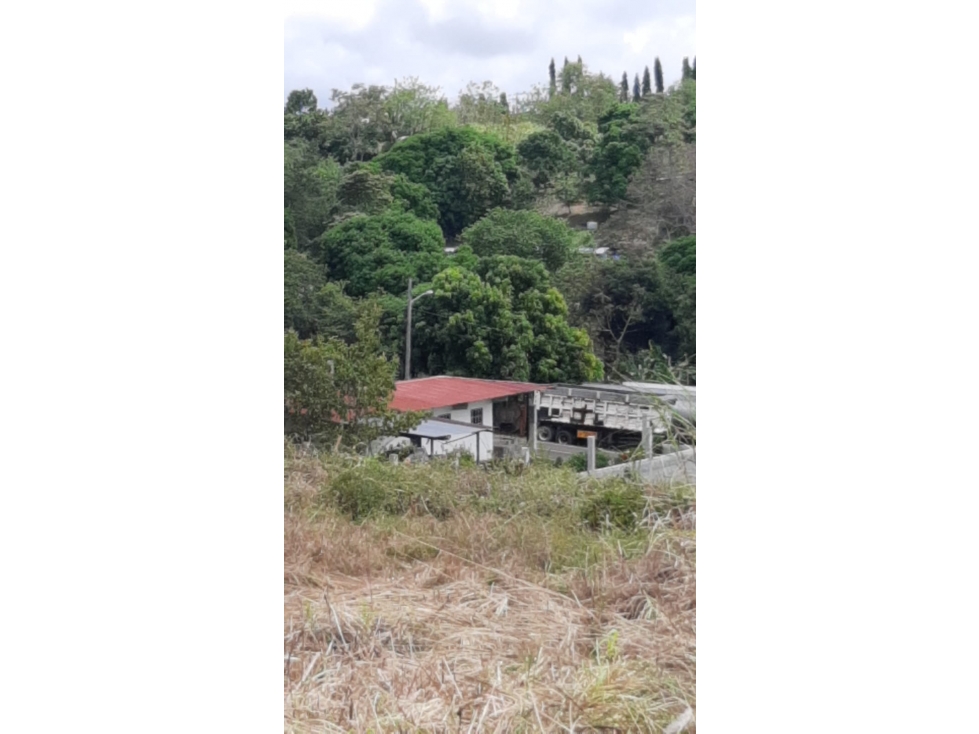 VENDEN LOTES CABUYITA EN LA 24 DE DICIEMBRE