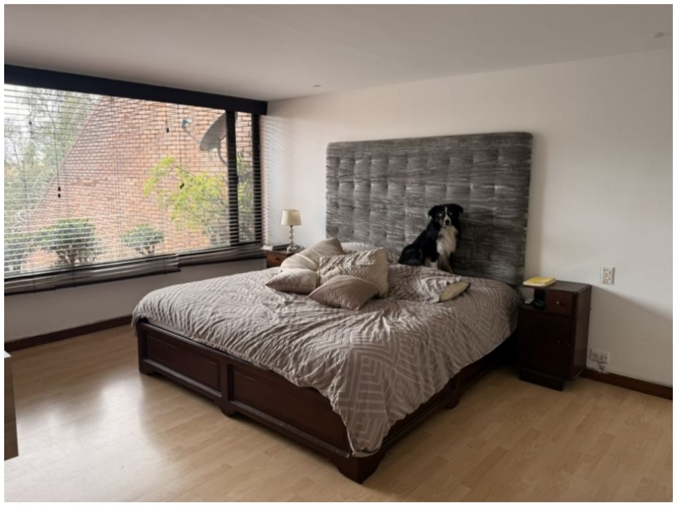 Chico Maravilloso Apartamento 306 m2 — foto 5