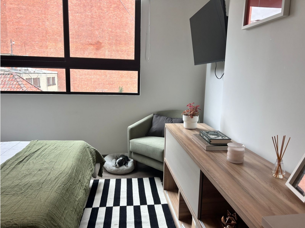 Quinta Camacho Espectacular Apartamento Iluminado 24 m2 — foto 3