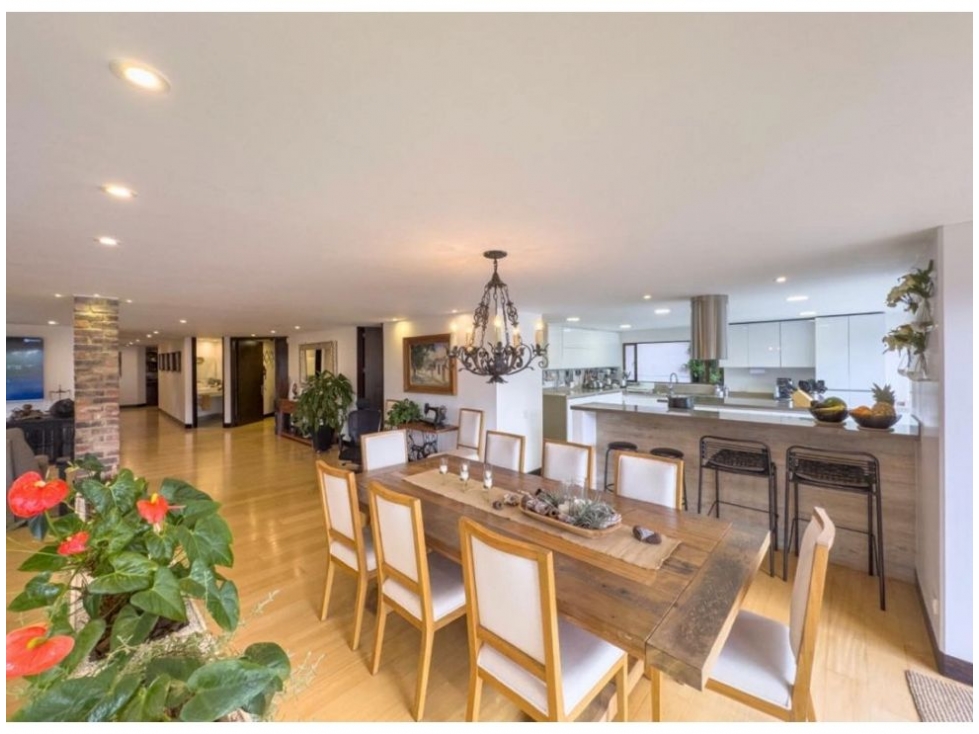 Santa ana Maravilloso Apartamento Remodelado con Terrazas — foto 4