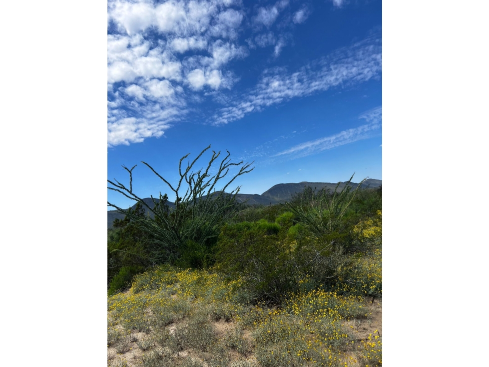 TERRENO CAMPESTRE EN VENTA EN RAMOS ARIZPE COAH. NLC - 3