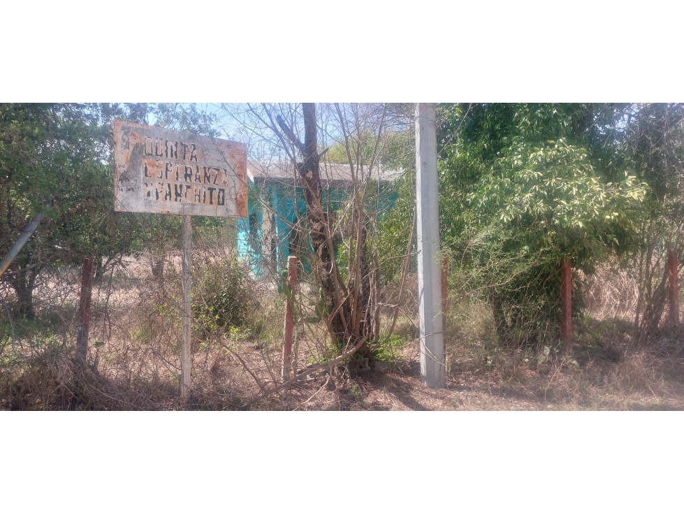 TERRENO EN VENTA EN LA MORITA, ALLENDE, N.L. - 3