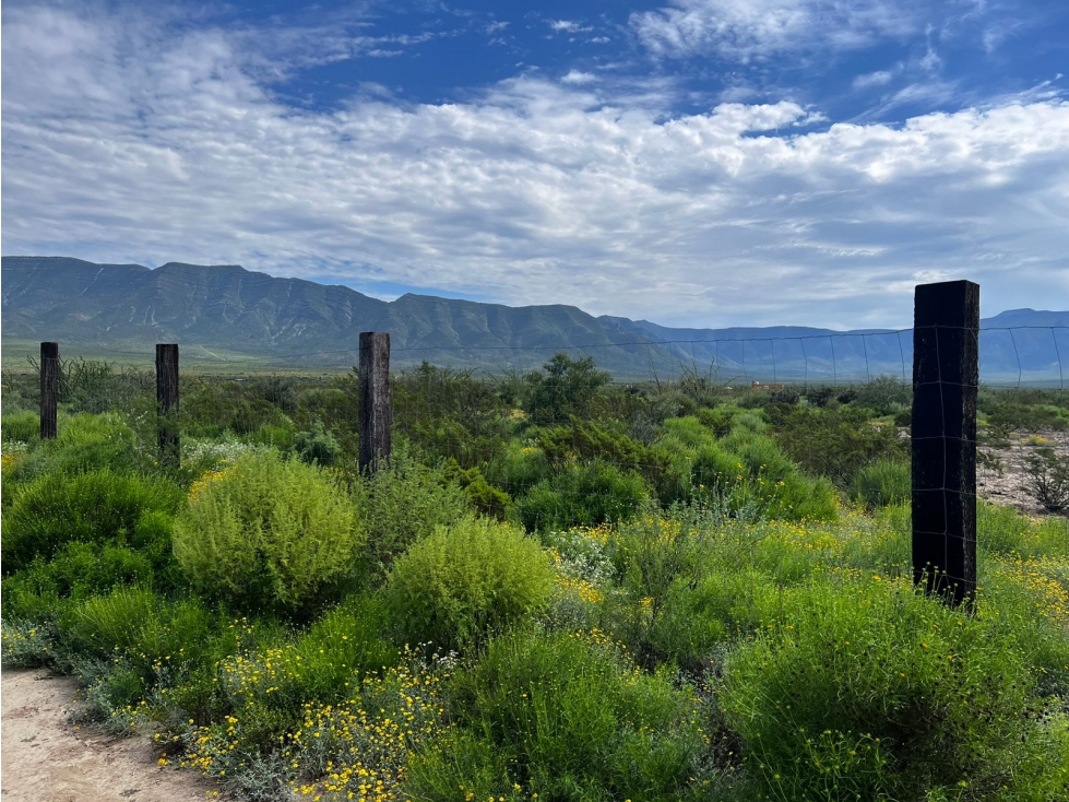 TERRENO CAMPESTRE EN VENTA EN RAMOS ARIZPE COAH. NLC - 4