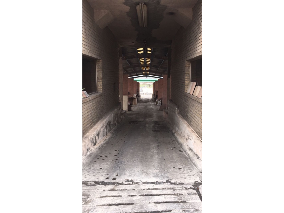 Bodega/Terreno en Renta en Monterrey 2202 m2 Av Principal $ 193.000 - 5