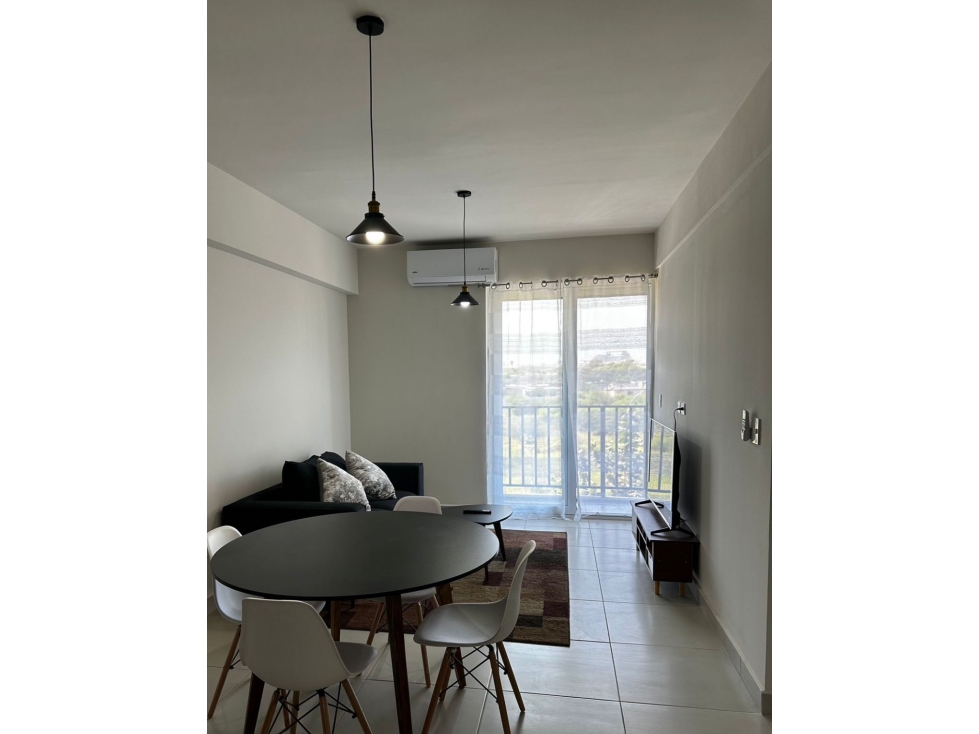 Departamento en Renta Living San Nicolas AGM - 3