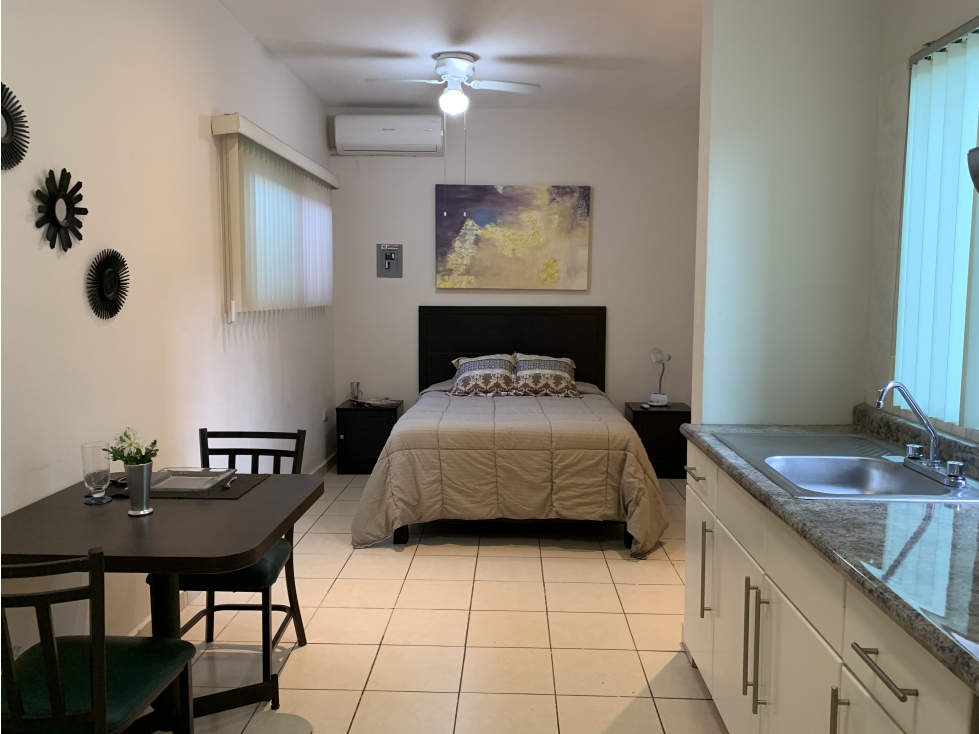 Loft amueblado en Renta - San Pedro Garza García AVC - 1