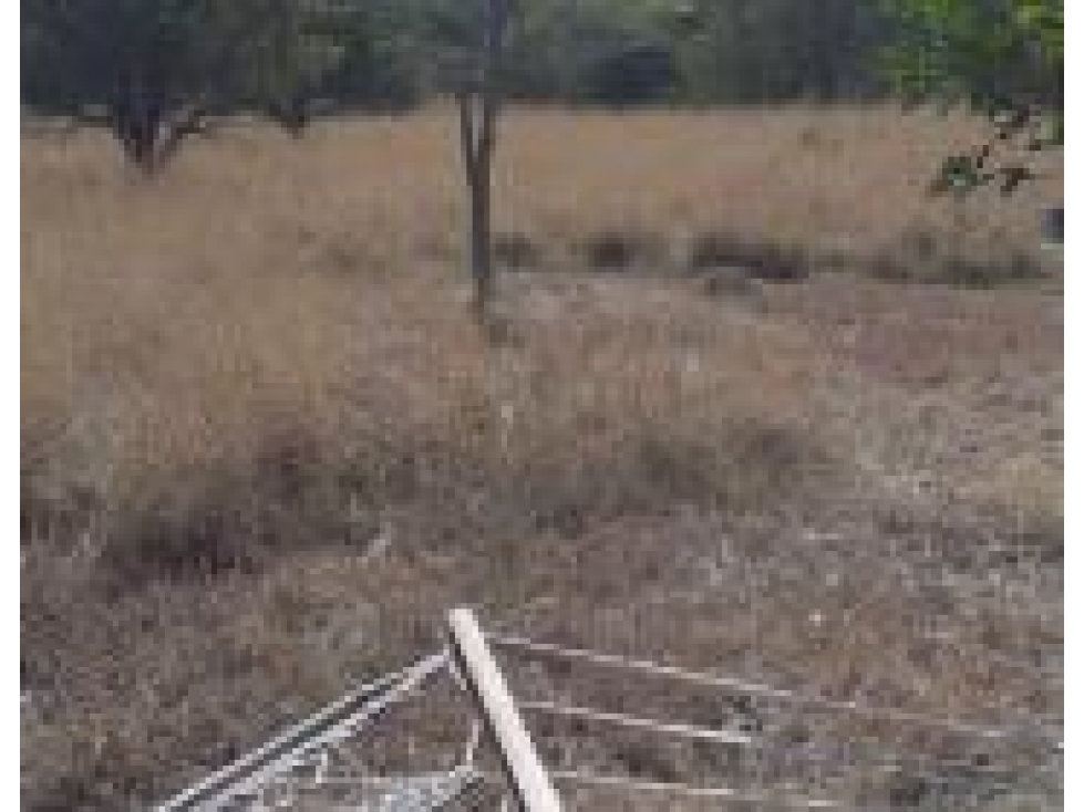 TERRENO CAMPESTRE EN VENTA EN MONTEMORELOS EDA - 3