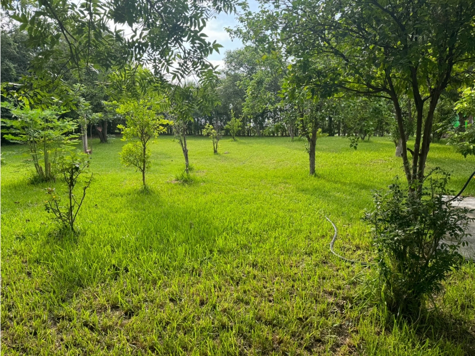 Quinta en Venta San Mateo MST - 4