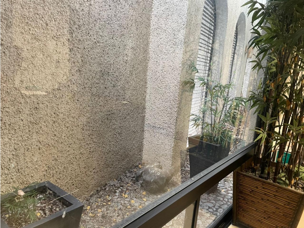 OFICINA EN RENTA EN OBISPADO LSL — foto 5