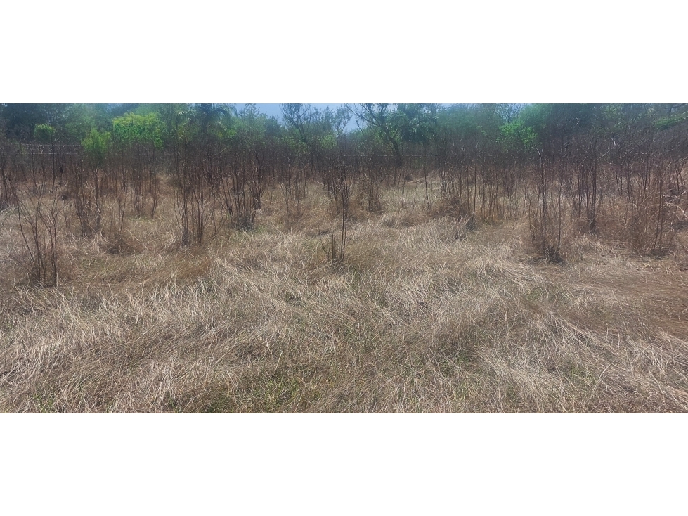 TERRENO EN VENTA EN LA MORITA, ALLENDE, N.L. - 6