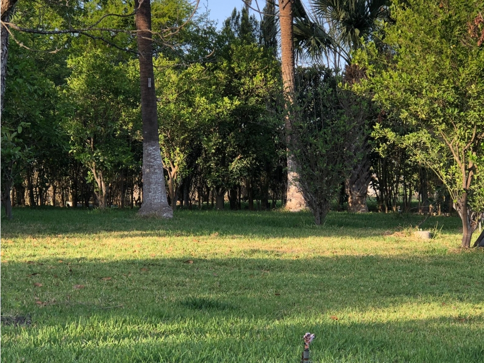 Quinta en Venta San Mateo MST - 6