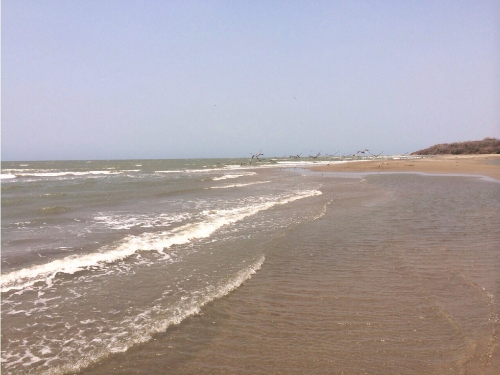 HERMOSO LOTE FRENTE AL MAR ,UBICACION PRIVILEGIADA - 3