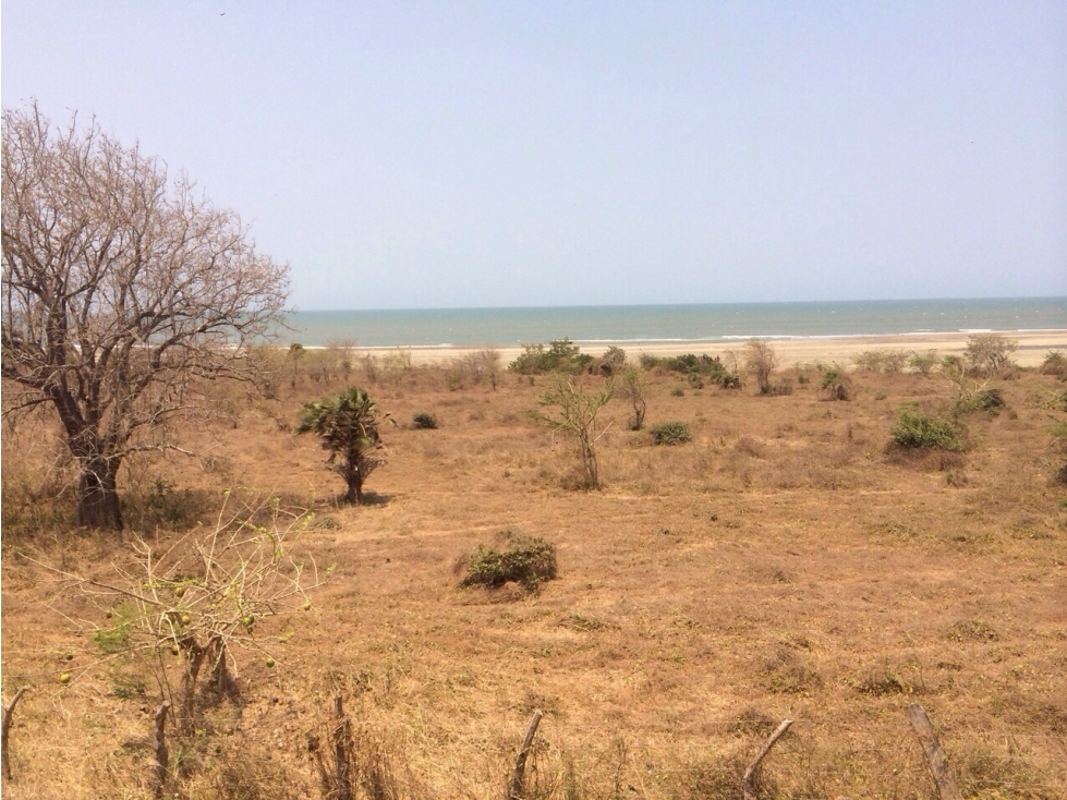HERMOSO LOTE FRENTE AL MAR ,UBICACION PRIVILEGIADA - 5