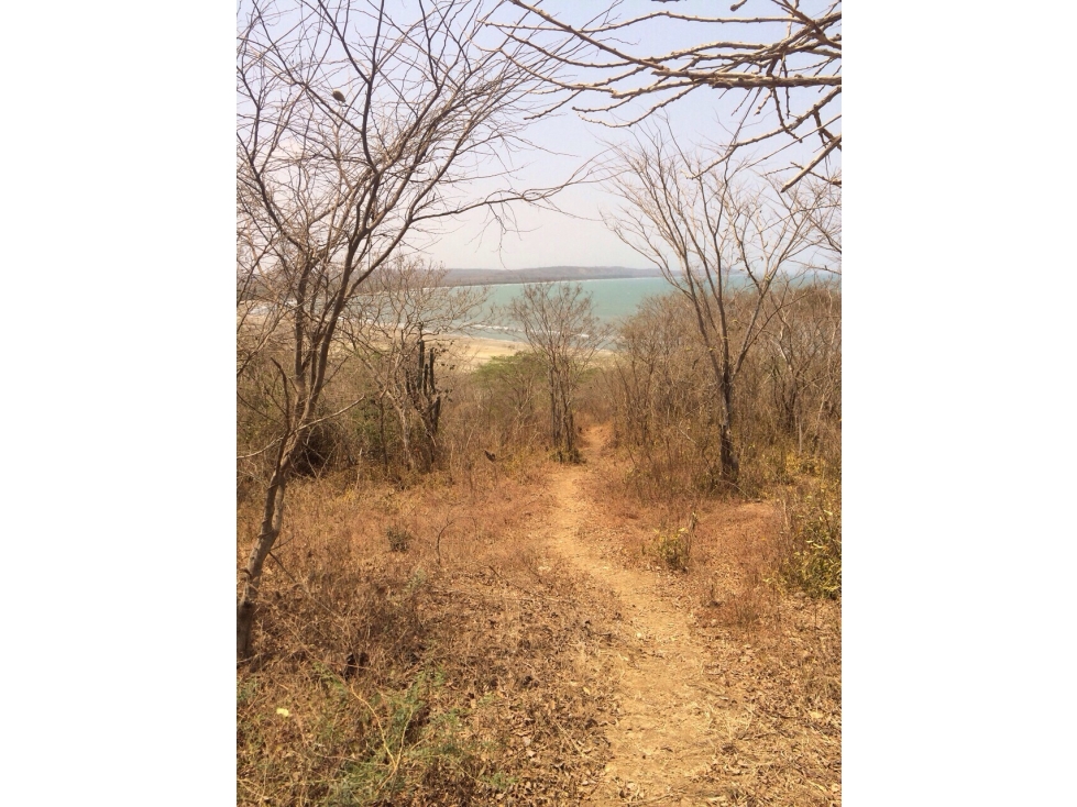 HERMOSO LOTE FRENTE AL MAR ,UBICACION PRIVILEGIADA - 6
