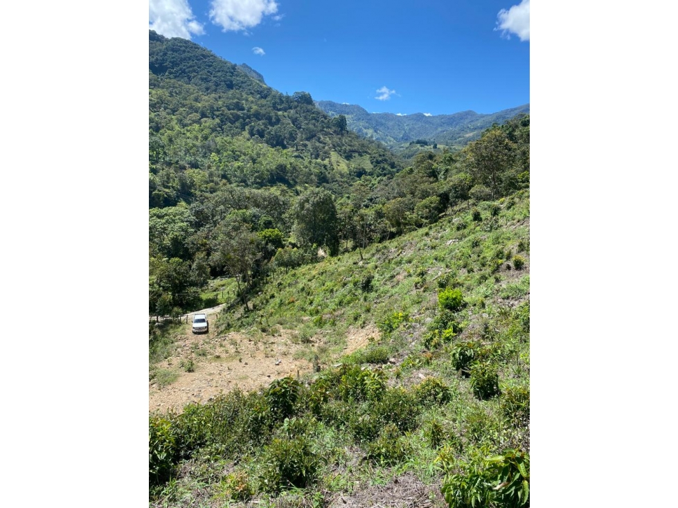 SE VENDE FINCA EN EL DIAMANTE CHINACOTA - 1