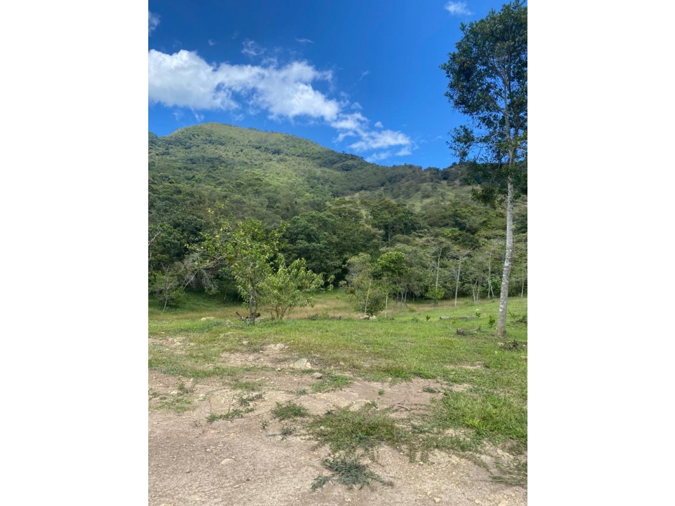 SE VENDE FINCA EN EL DIAMANTE CHINACOTA - 2