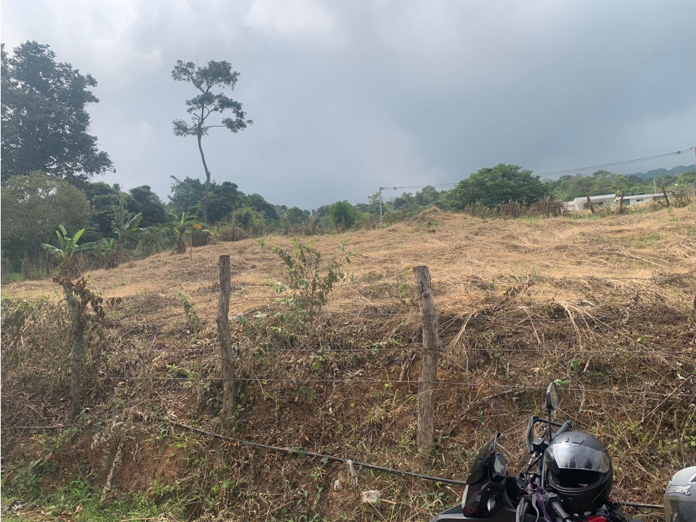 PARA ARRIENDO PRODUCTIVA PARCELA EN VEREDA CALIFORNIA RECTA COROZAL - 2