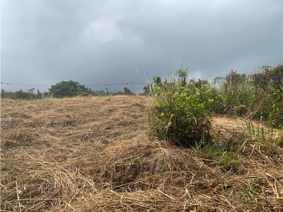 PARA ARRIENDO PRODUCTIVA PARCELA EN VEREDA CALIFORNIA RECTA COROZAL - 3