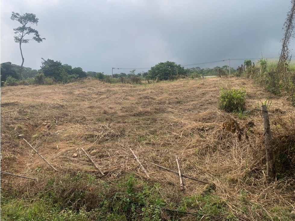 PARA ARRIENDO PRODUCTIVA PARCELA EN VEREDA CALIFORNIA RECTA COROZAL - 4