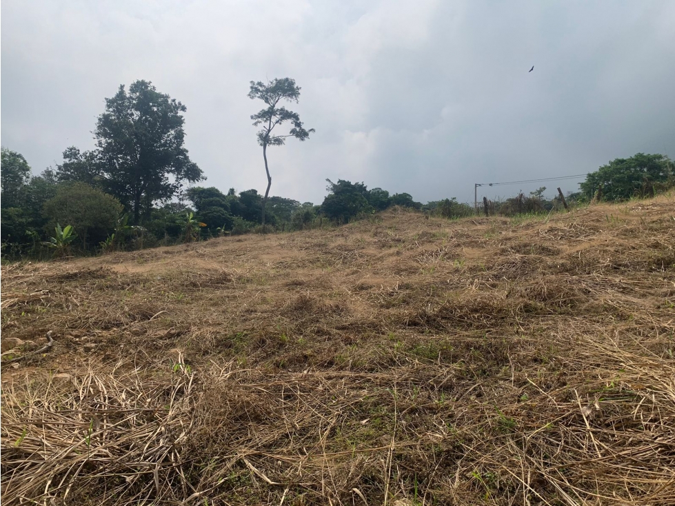 PARA ARRIENDO PRODUCTIVA PARCELA EN VEREDA CALIFORNIA RECTA COROZAL - 5