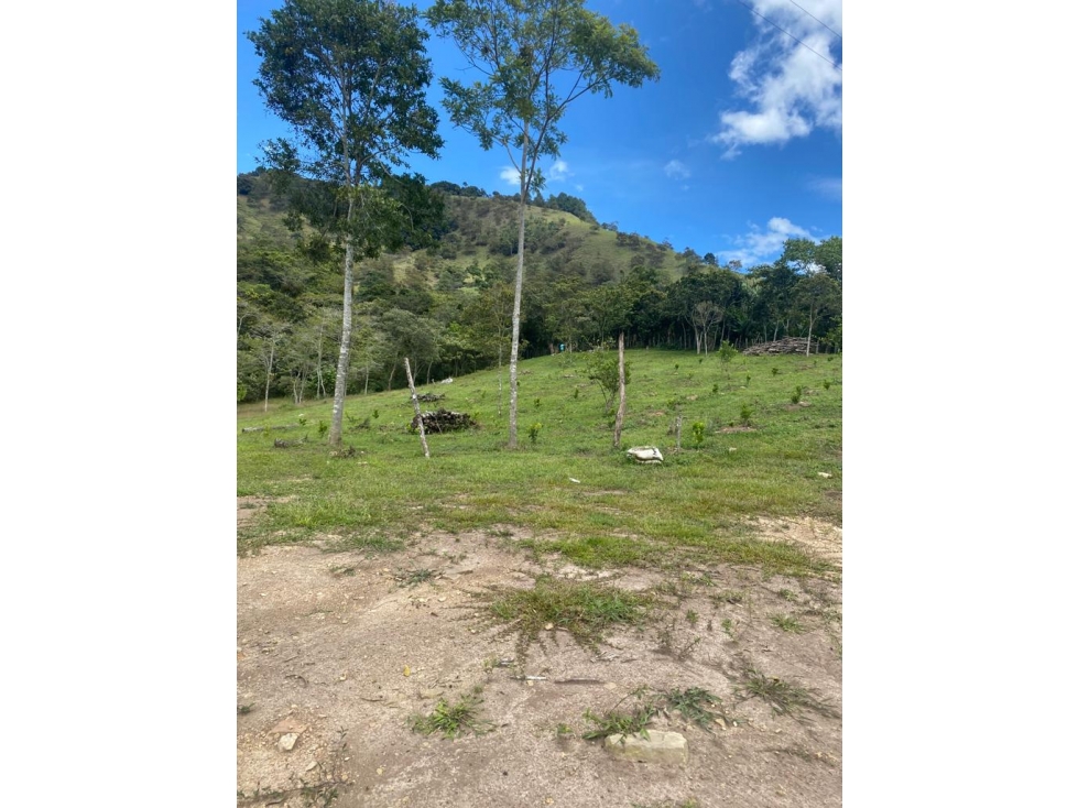 SE VENDE FINCA EN EL DIAMANTE CHINACOTA - 5