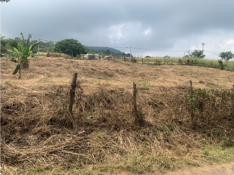 PARA ARRIENDO PRODUCTIVA PARCELA EN VEREDA CALIFORNIA RECTA COROZAL - 6