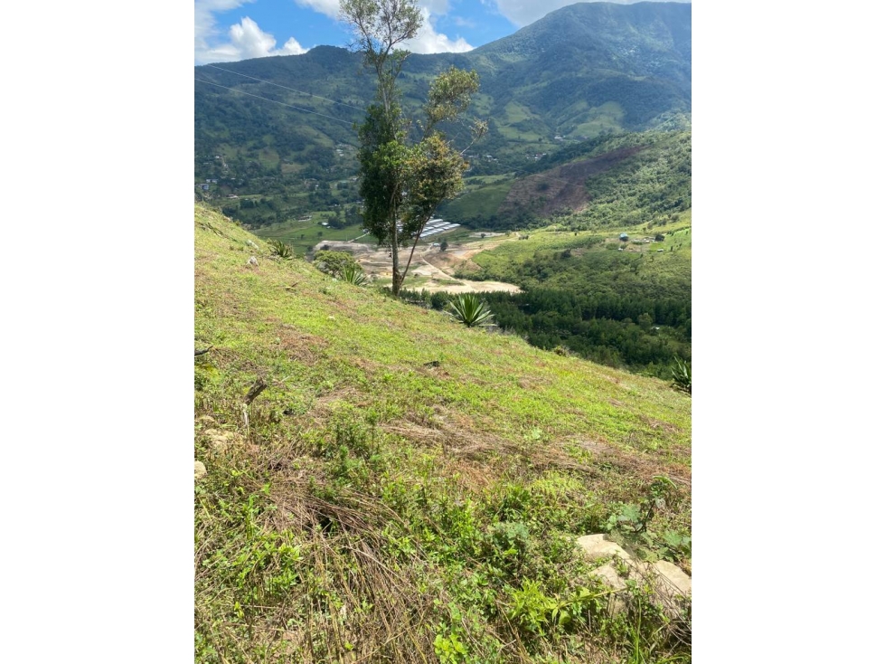 SE VENDE FINCA EN EL DIAMANTE CHINACOTA - 6