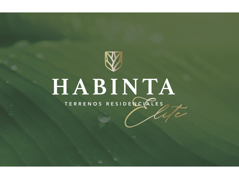 Terreno Residencial Habinta Yucatan - 1
