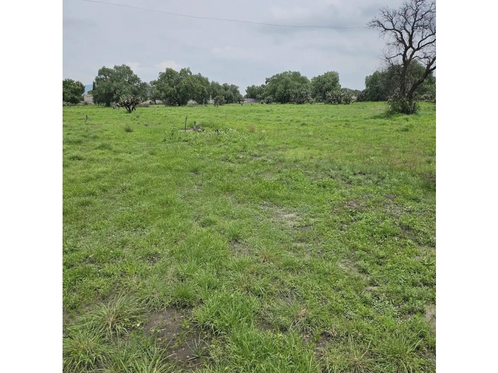 Terreno Zumpango H - 1