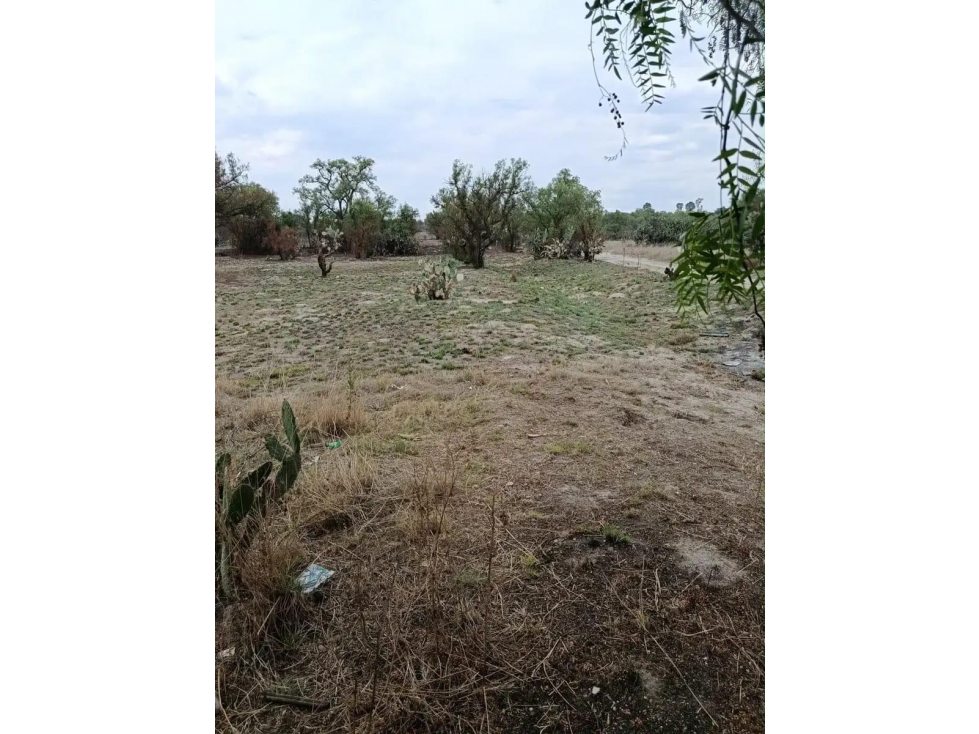 Terreno Zumpango H - 5