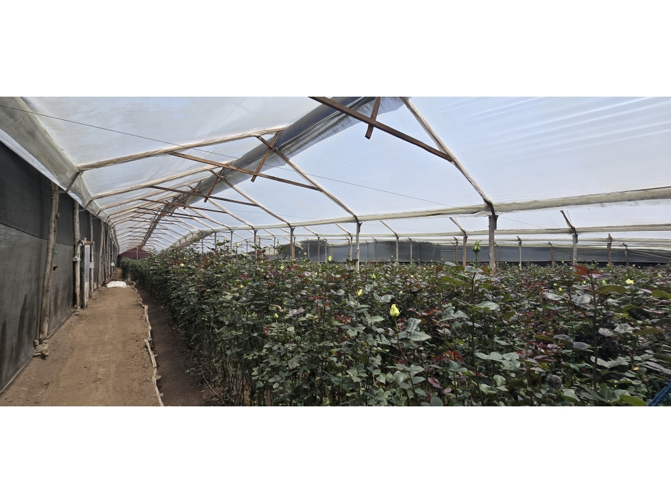 Venta de Lote Industrial Mosquera Cundinamarca - 5