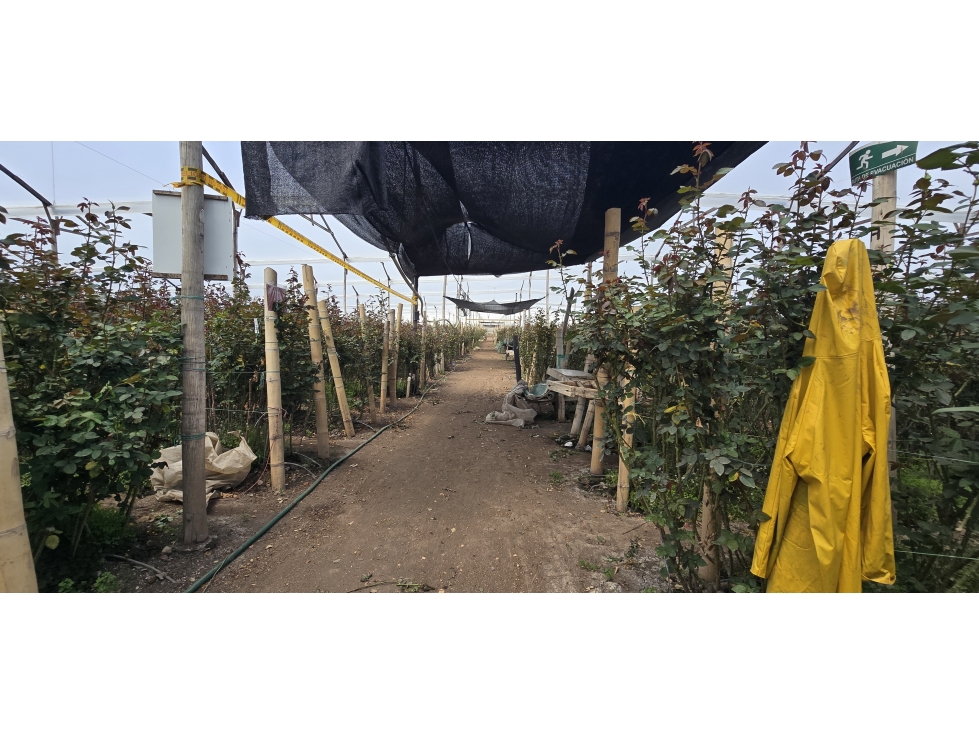 Venta de Lote Industrial Mosquera Cundinamarca - 3