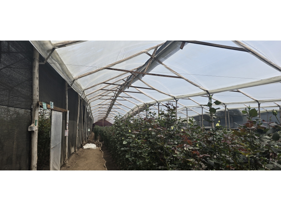 Venta de Lote Industrial Mosquera Cundinamarca - 4