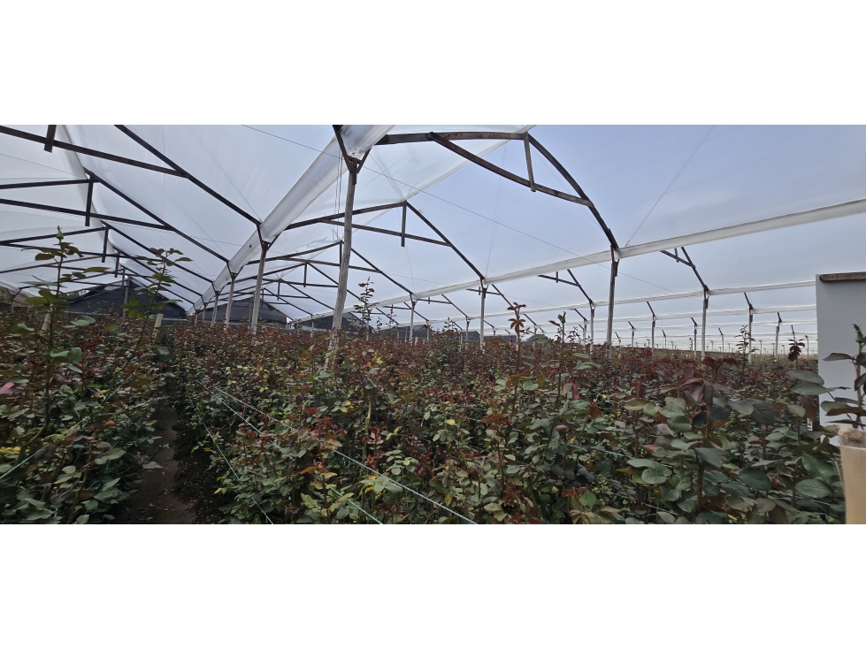 Venta de Lote Industrial Mosquera Cundinamarca - 6