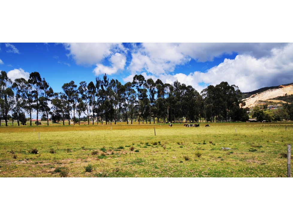Vendo Lote Tocancipá Hasta los 240.000 M2 - 3