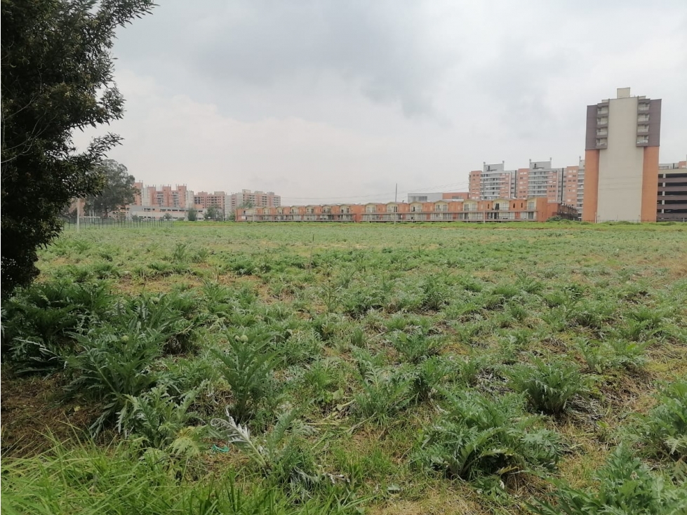 LOTE INDUSTRIAL 34.888 M² - 3