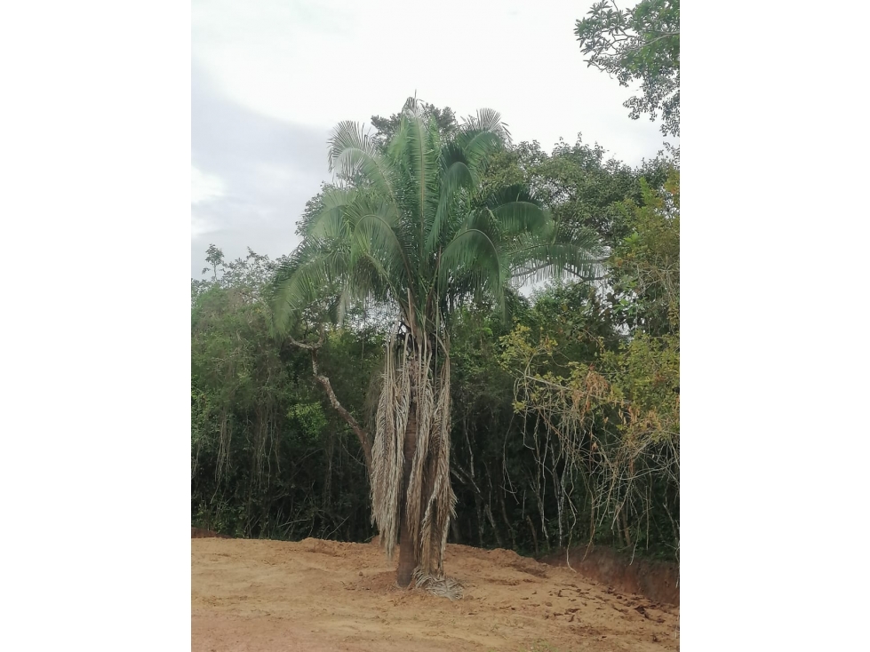 LOTE RESIDENCIAL EN MELGAR 1500.90m² - 2