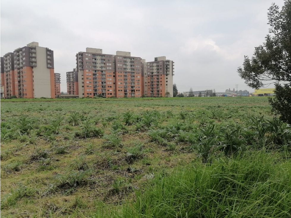 LOTE INDUSTRIAL 34.888 M² - 5