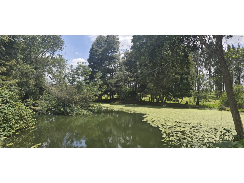 Venta de Lote Industrial Mosquera Cundinamarca - 2
