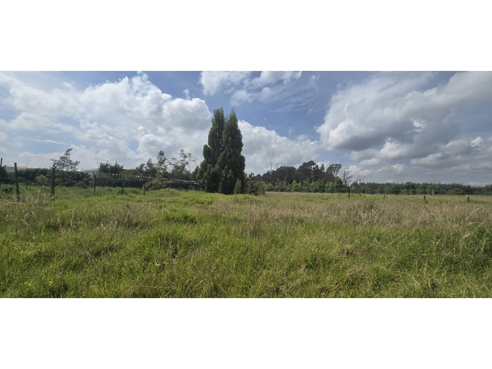 Venta de Lote 11.555 M2 Comercial - Industrial - 6
