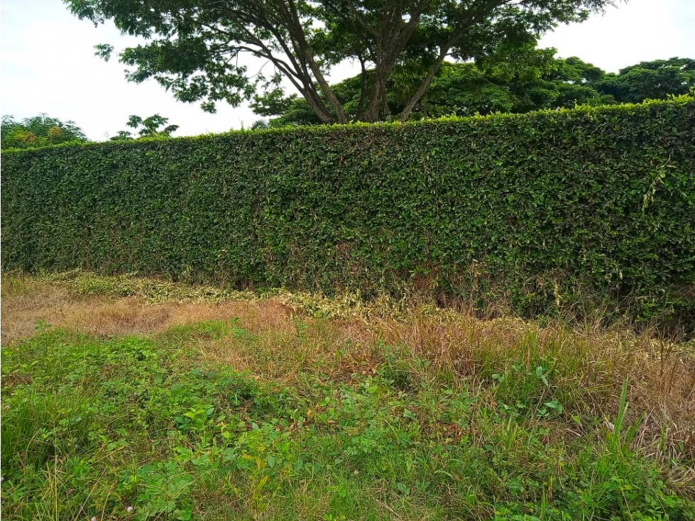 Vendo Lote en Condominio La Morada Jamundí Valle - 2
