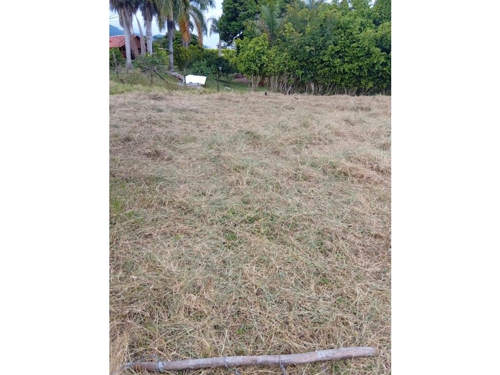 Venta de Terreno en Parcelacion Campestre Lago Calima Valle del Cauca - 3